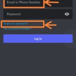 Discord-Password-on-Mobile-1