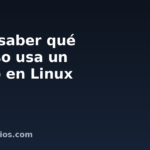 Cómo saber qué proceso usa un puerto en Linux