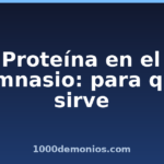 Proteína en el gimnasio: para qué sirve