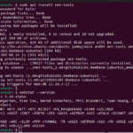 Cómo usar el comando Netstat Linux
